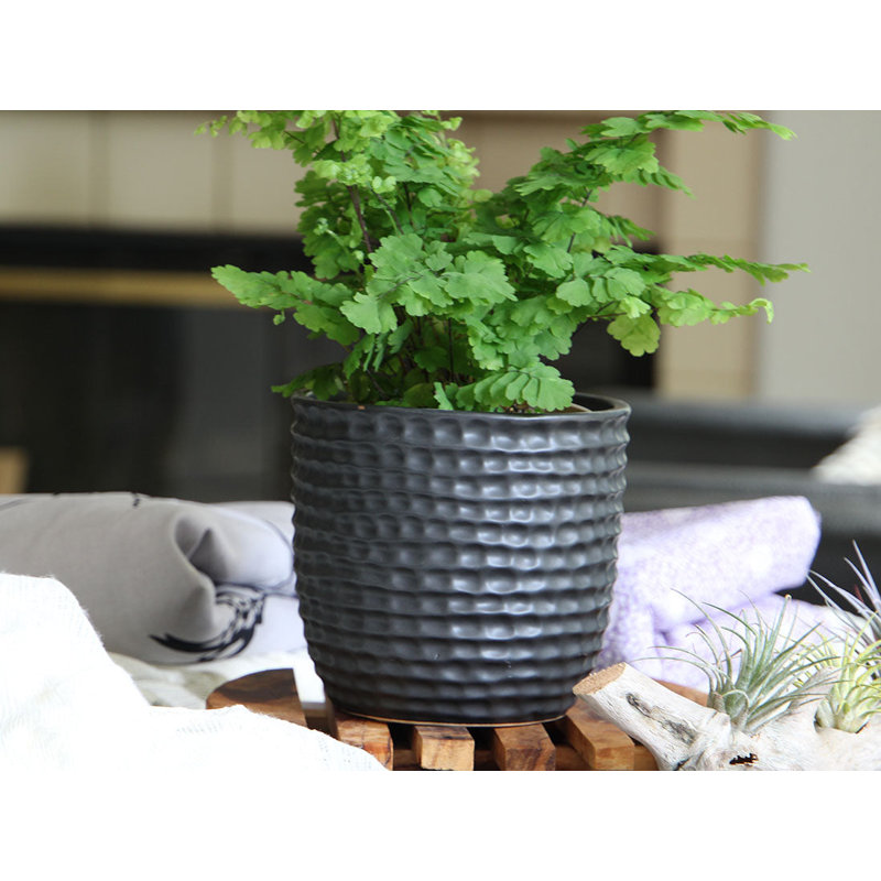 Mini pots de fleurs en céramique émaillée alvéolée (lot de 8) - Moura en plein air, Blanc mat