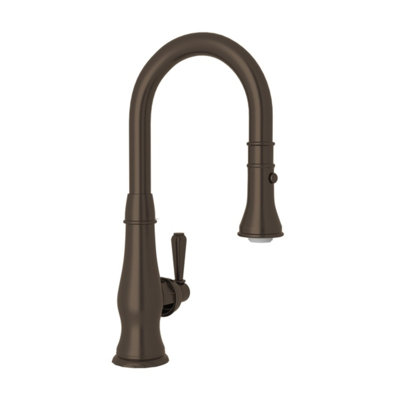 Patrizia™ Pull-Down Bar Faucet with Accessories