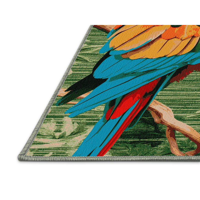  Tapis lavable pour perroquet très grand australien, Rond 7 pi