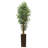 Tall High End Realistic Silk Floor Bamboo Tree in Planter