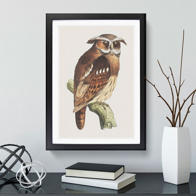 Owl on a Branch by Theo Van Hoytema - Picture Frame Painting, Black Framed, 65cm H x 48cm W x 2cm D