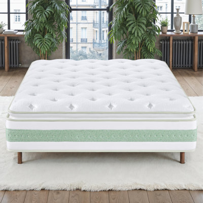 Matelas hybride en mousse viscoélastique gélifiée infusée de thé vert 14 po Ginger
