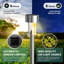 Stainless Steel Solar Powered Stainless Steel Pathway Light Pack