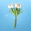 10 tulipes Clairview