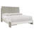 Foundations Upholstered Standard Bed-62568360