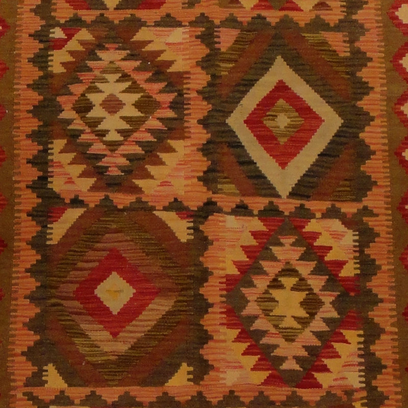 Azpeitia Wool Southwestern Indoor Rug