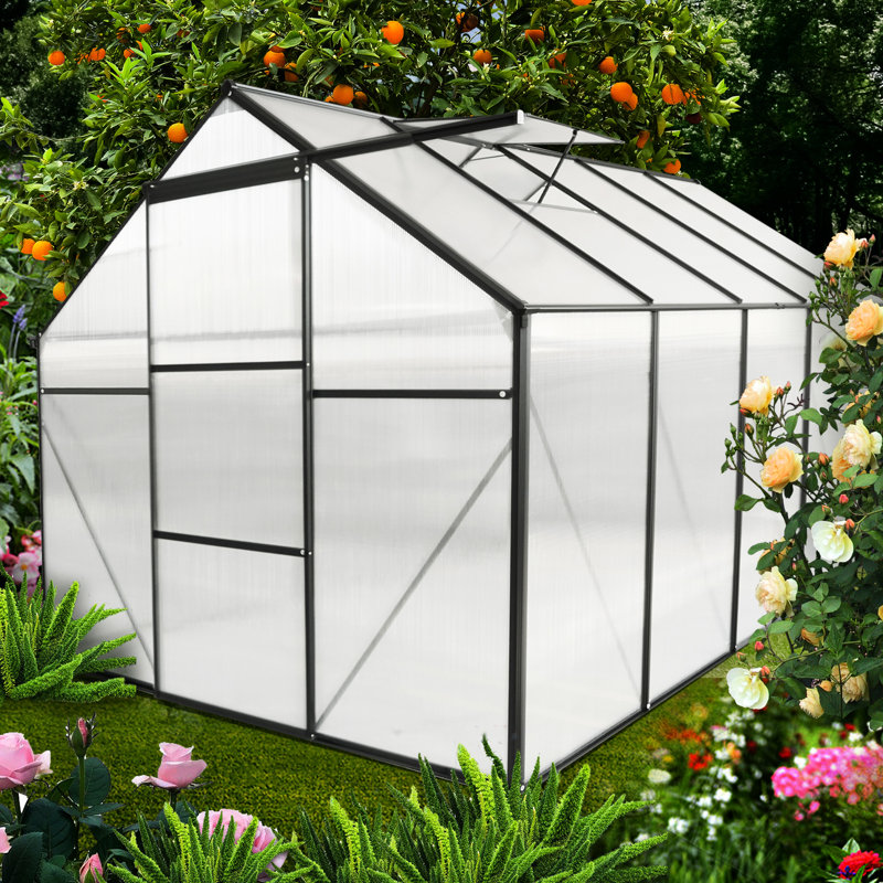 6X10 Ft Greenhouse With Drainage Gutter System And Adjustable Roof All Season Polycarbonate Door Protection For Plants