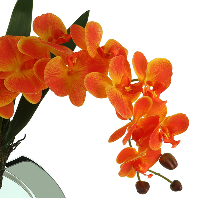 Orchid Floral Arrangement in Vase, Orange