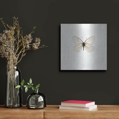  «White Butterfly» par Photoinc Studio, art mural en métal, 36 po x 36 po