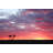 Eure Sunset on Nullarbor Plain - Wrapped Canvas Photograph-794679184