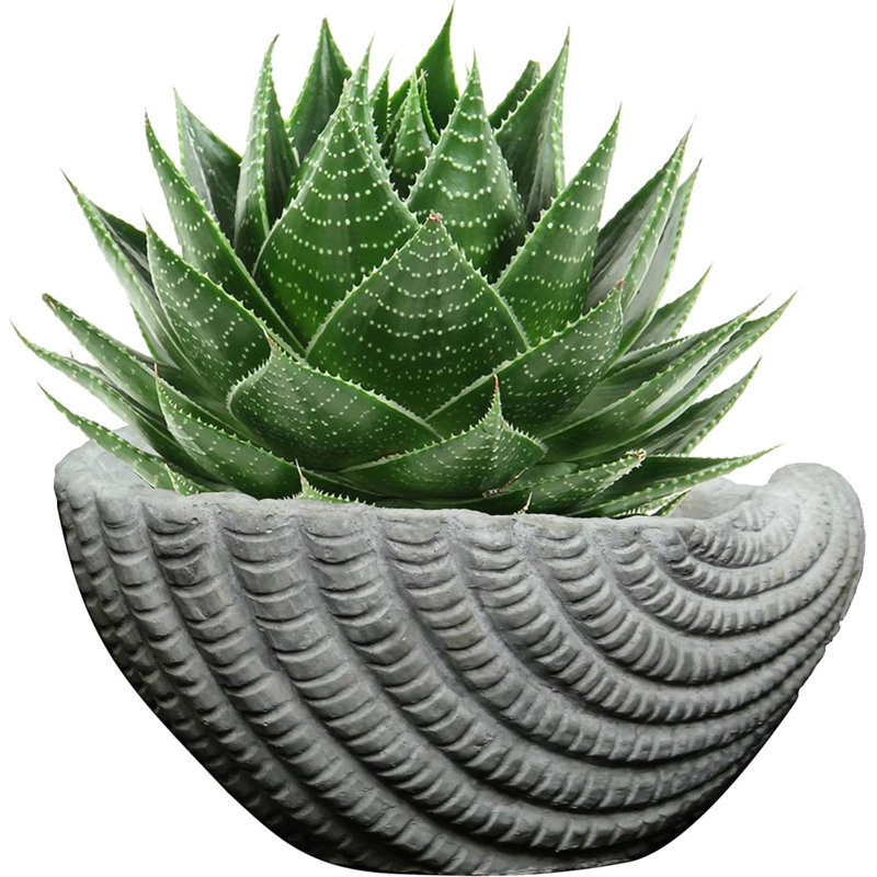 Aarah Statue Planter