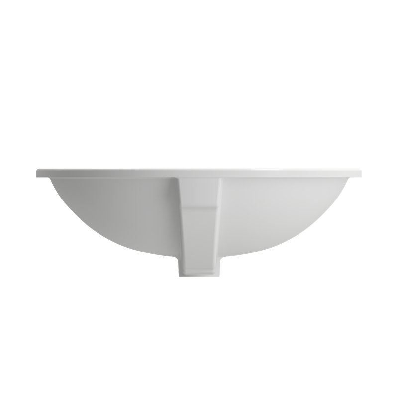 Parma 22.4'' L Bathroom Sink, Matte White
