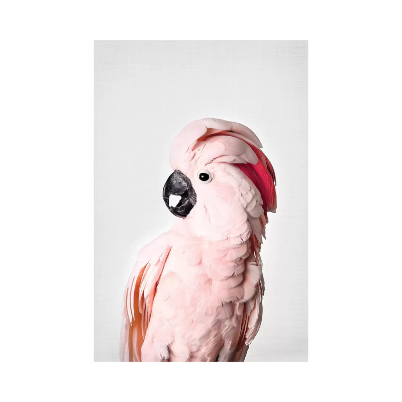 Pink Cockatoo by Sisi & Seb - Wrapped Canvas Print, 20.32 cm H x 30.48 cm W