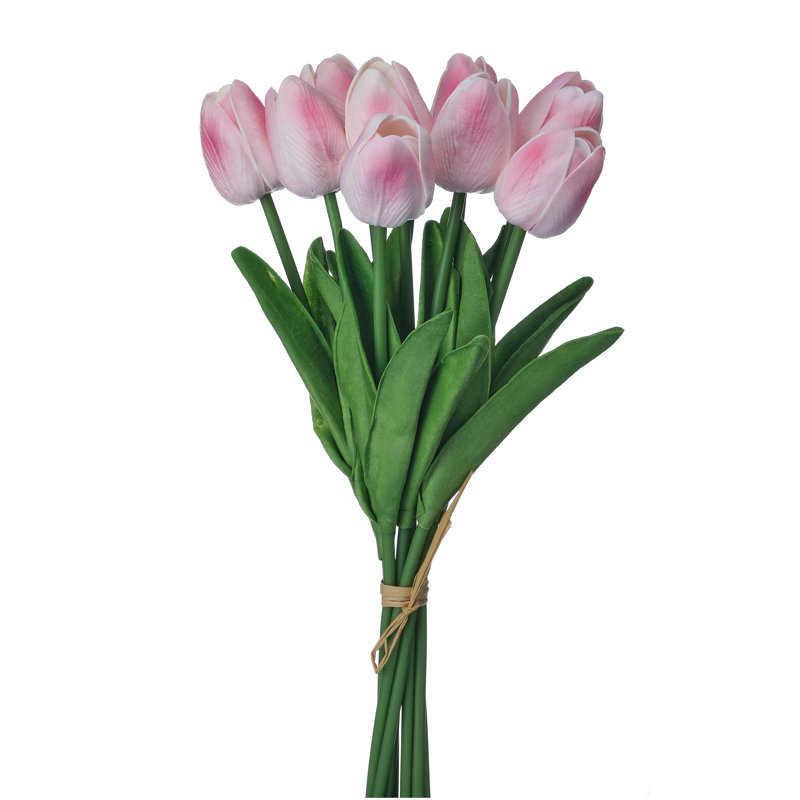 Ensemble de tulipes 13 po Eva, Rose