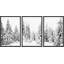 «Winter», neige recouverte de pin, forêt, paysage naturel, œuvre d'art moderne, photographie en noir et blanc, impression sur toile encadrée, 3 pièces, 3 pièces-79731315-79731313