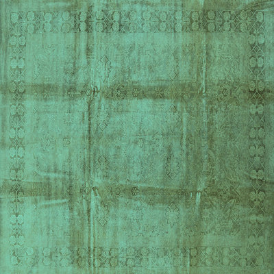 Custodia Oriental Indoor Rug