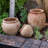 Kameera Pot Planter-1342208165