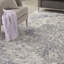 Royal Terrace Oriental Area Rug-49422489