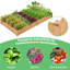 Abdushakur Raised Garden Bed