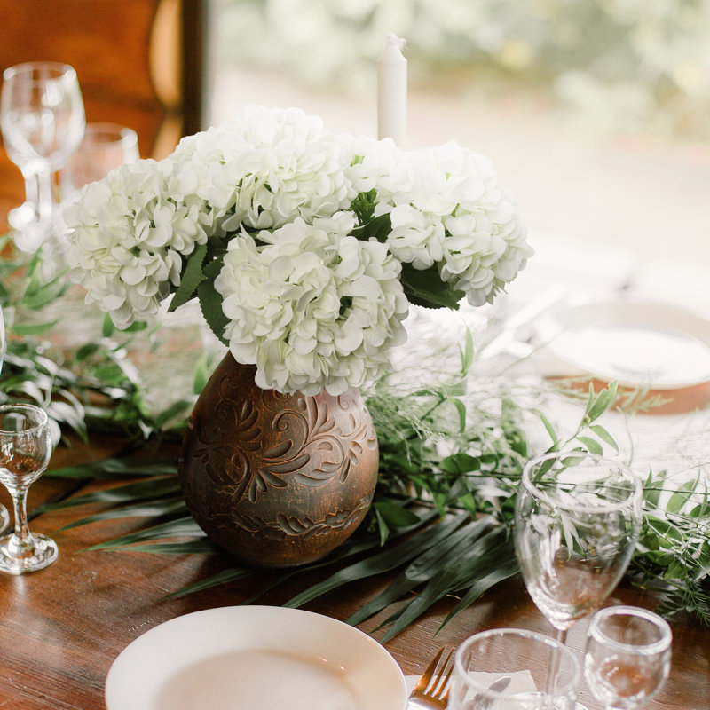 Cream Hydrangea Stems - Large 7" Blooms