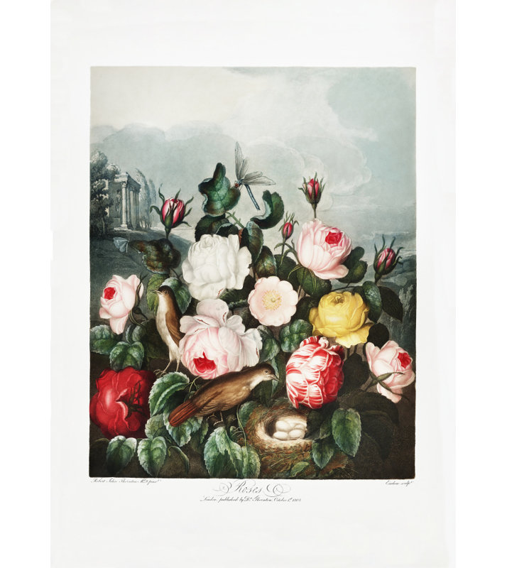 Wrapped Canvas Print, 76.2cm H x 50.8cm W