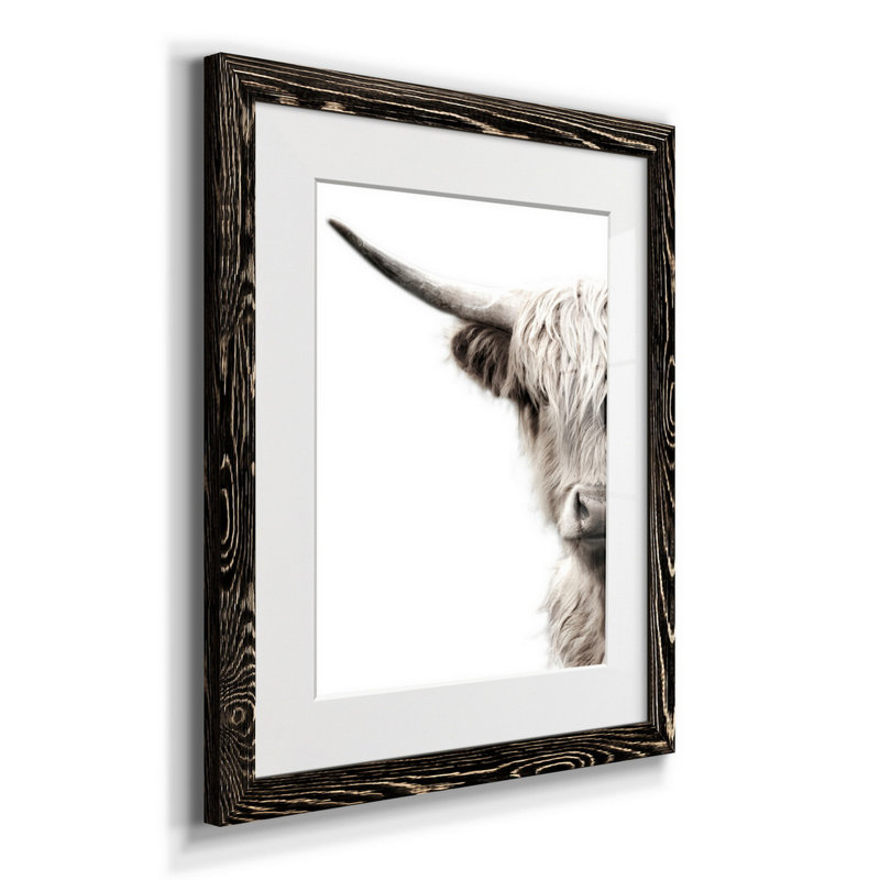 Bétail des Highlands - reproduction de photo, Papier encadré noir, H 24 po x l 18 po x P 1,5 po, Blanc