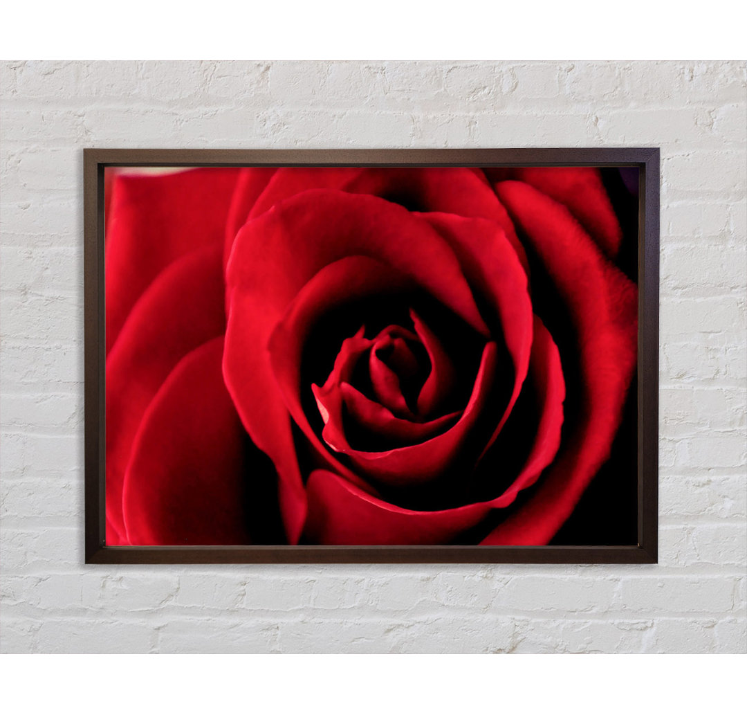 Rose Petal Beauty - Einzelner Bilderrahmen Kunstdrucke auf Leinwand