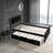 Platform Bed with Twin Size Trundle-1020442982