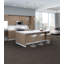 Carreau de tapis adhésif multi-niveaux 24 po x 24 po Explorer (79,99 pieds carrés)-72803917