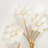 Porcelain Flowers