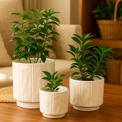 3-Piece White Stoneware Planter Pot Set With Soft Vertical Texture