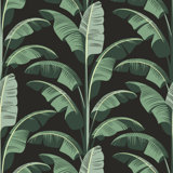 Banana Leaf - Sage Gray Wallpaper