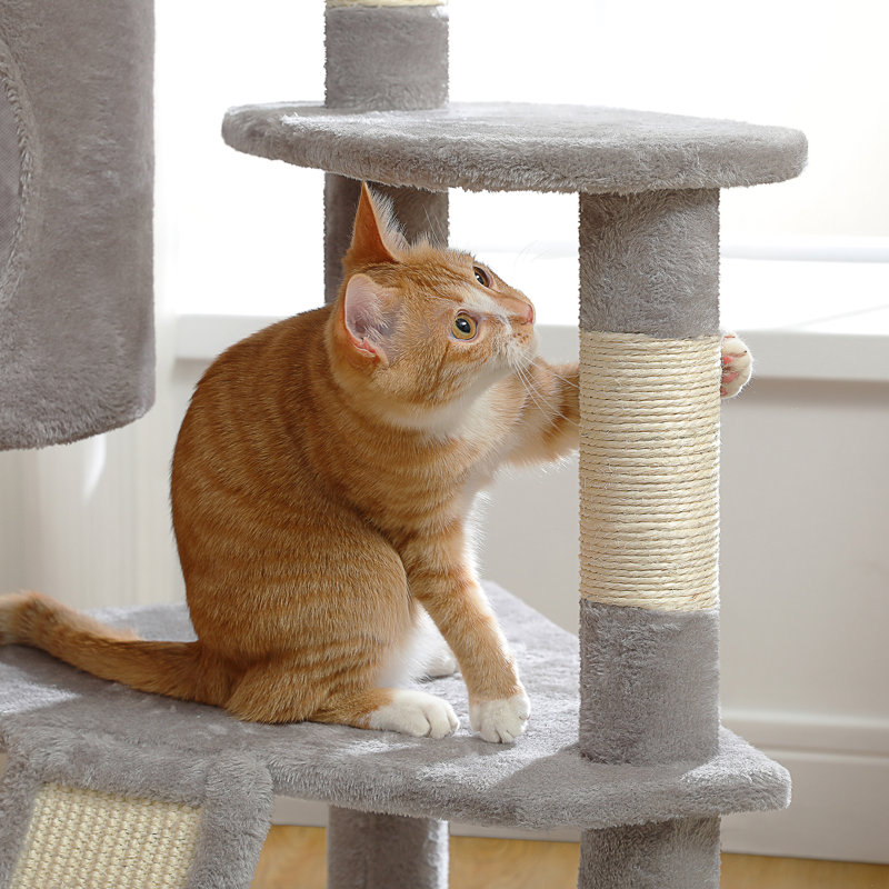 Arbre à chat