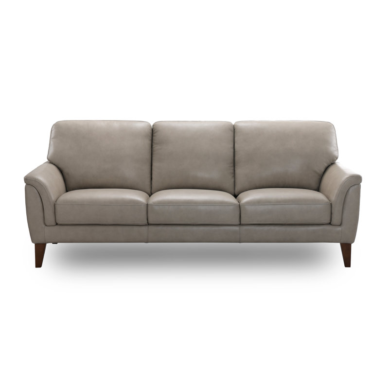 Walenty 84'' Genuine Leather Sofa