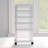 5-Drawer Storage Drawer - Basics by Wayfair™