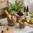 Highland Dunes Straw Decorative Basket-40389719