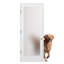 36 po. X 80 po. Porte intérieure simple blanche pré-suspendue en composite givré à base droite avec verre givré noir mat-122087573-122087574-122087584