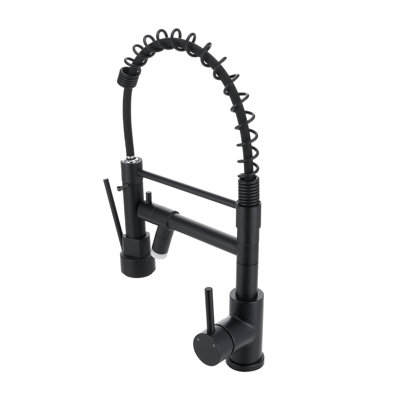 Belfry Kitchen Pull Out Kitchen Faucet