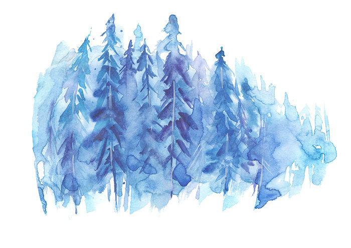 Brier Matte Peel and Stick Mural, 152 x 104cm