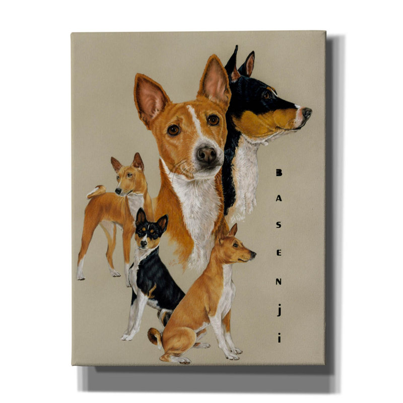 'Basenji' by Barbara Keith, Canvas Wall Art, 34" H x 26" W x 1.5" D