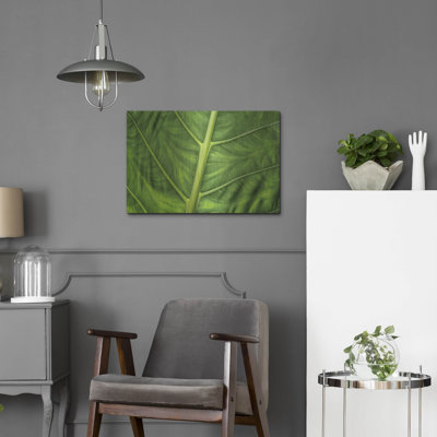 " Leaf Details " by Dennis Frates