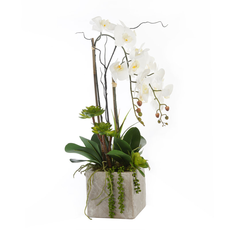 Real Touch Orchid Floral Arrangement in Pot