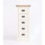 Abrahamson 45 cm W Chest of 5 Drawers-1625777303