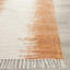 Demson Abstract Cotton Hand Woven Area Rug-20765065