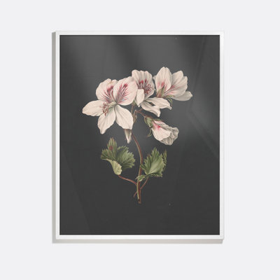 Flower Study I Framed Oil Painting Print