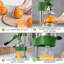 Extracteur de jus en fonte pour cuisine Zulay
