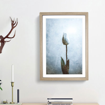 Solitary White Tulip Painting - Framed Print