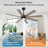 60 In./72 In. 8-Plywood Blades Indoor Led Ceiling Fan With Remote-1586953747-1586953756