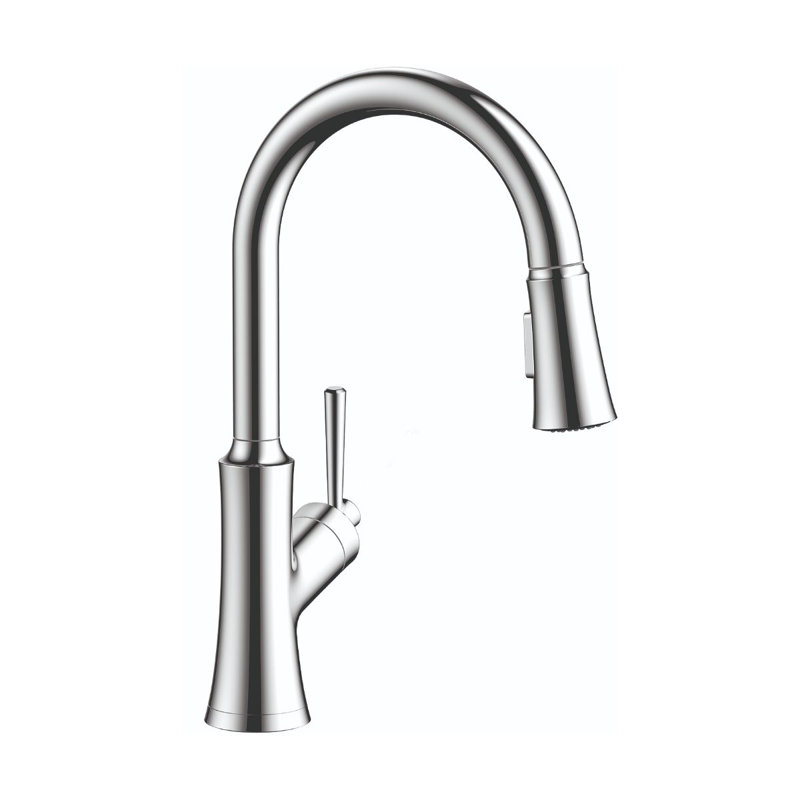 Joleena Pull Down Single Handle Kitchen Faucet, Chrome