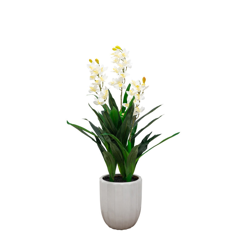 3.5ft Natural Touch Artificial Orchid